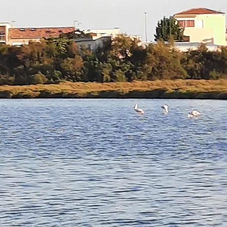 Lake City1 Могио
